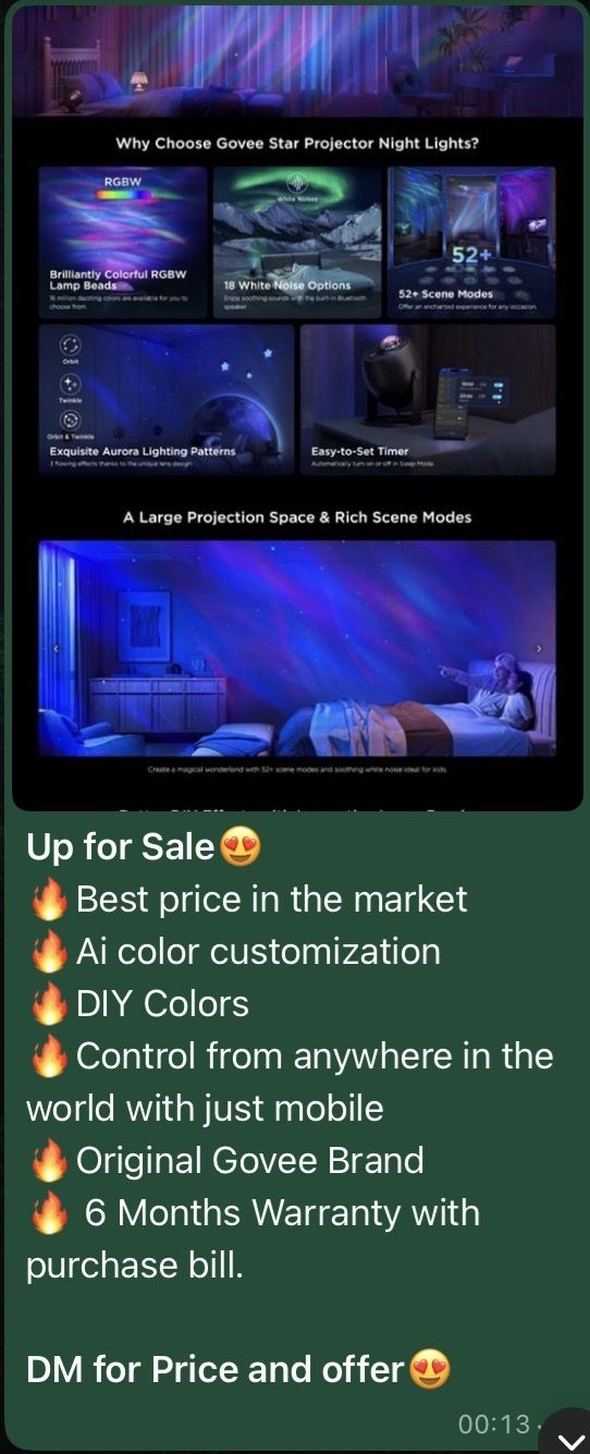 Govee Aurora Lights